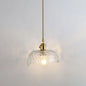 Clear Glass Pendant Lighting Fixture with Simplicity Shaded Hanging Light