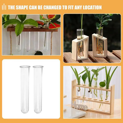 Clear Glass Test Tube Vases for Plants - As Shown - Vase