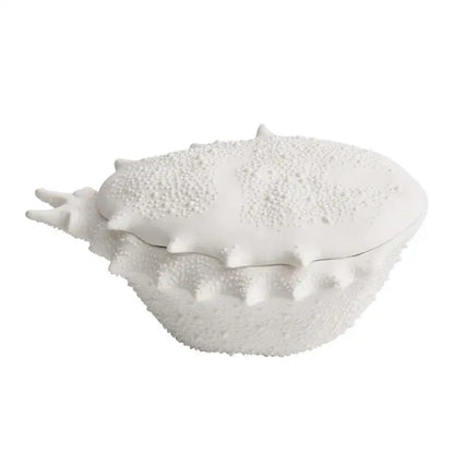 Coastal white ceramic soup bowl with shell shape textured bumpy surface and spiky edges decorative dish