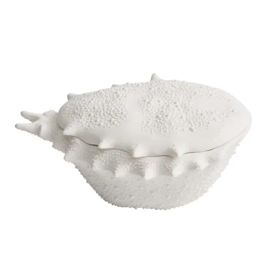 Coastal white ceramic soup bowl with shell shape textured bumpy surface and spiky edges decorative dish