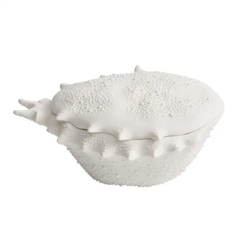 Coastal white ceramic soup bowl with shell shape textured bumpy surface and spiky edges decorative dish