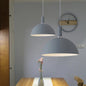 Contemporary Aluminum Pendant Lamp with One Light for Dining Room