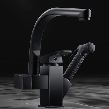 Contemporary black kitchen faucet with single handle pull out spray and sleek curved spout in matte finish