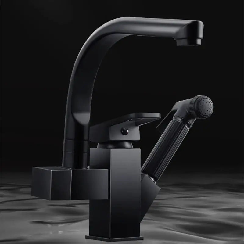 Contemporary black kitchen faucet with single handle pull out spray and sleek curved spout in matte finish