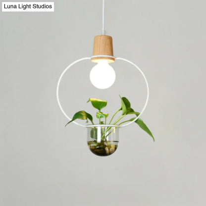 Contemporary Clear Glass Planter Lamp - 1-Light Pendant for Study Room Lighting