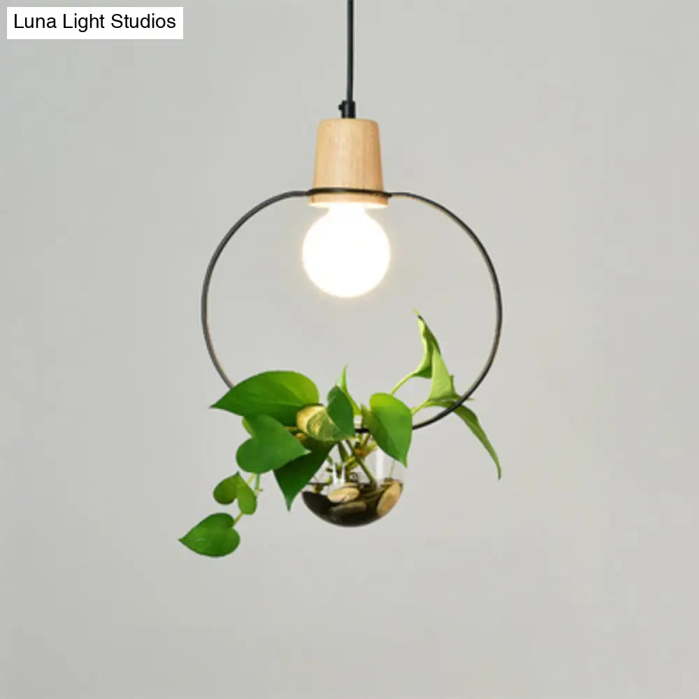 Contemporary Clear Glass Planter Lamp - 1-Light Pendant for Study Room Lighting