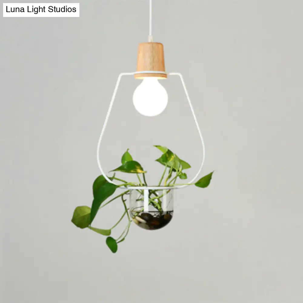 Contemporary Clear Glass Planter Lamp - 1-Light Pendant for Study Room Lighting