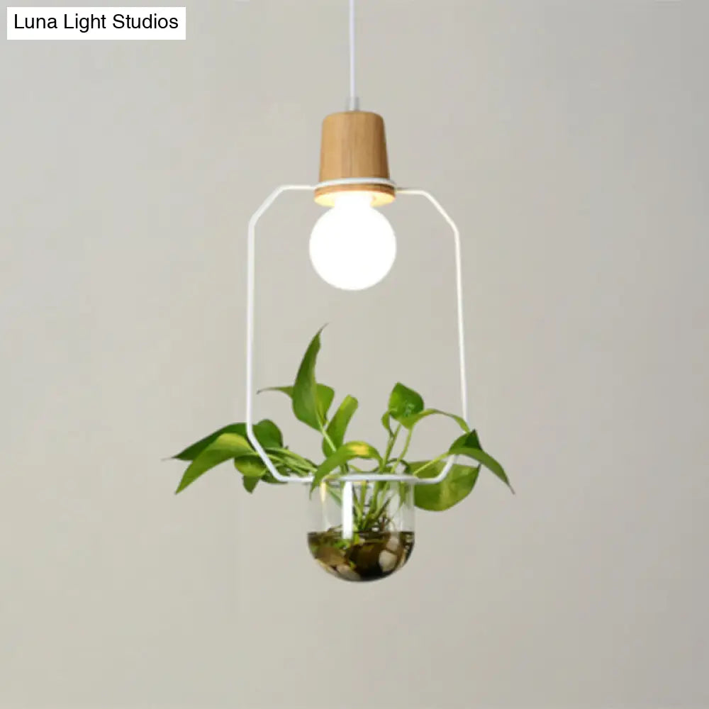 Contemporary Clear Glass Planter Lamp - 1-Light Pendant for Study Room Lighting