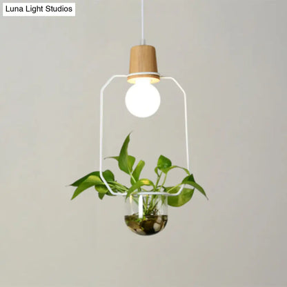 Contemporary Clear Glass Planter Lamp - 1-Light Pendant for Study Room Lighting