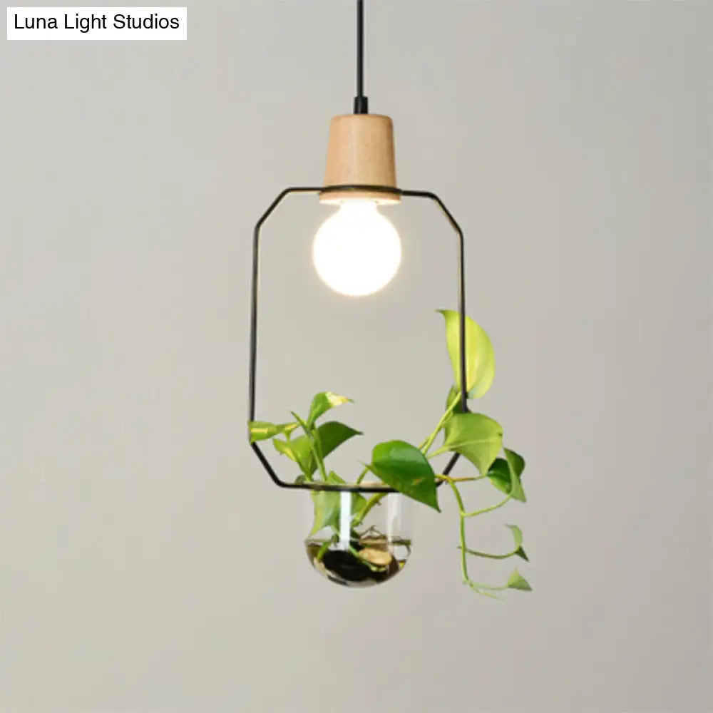 Contemporary Clear Glass Planter Lamp - 1-Light Pendant for Study Room Lighting