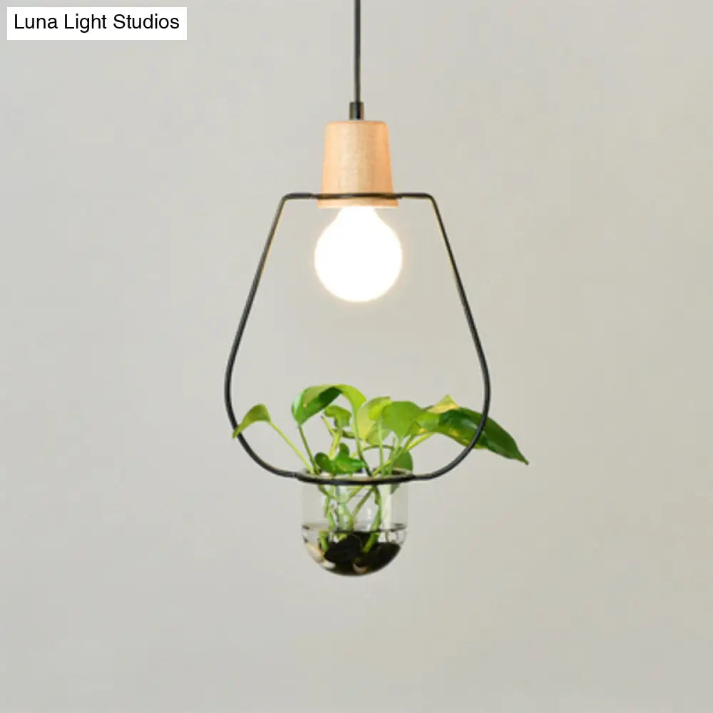 Contemporary Clear Glass Planter Lamp - 1-Light Pendant for Study Room Lighting