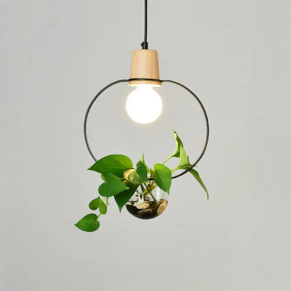 Contemporary Clear Glass Planter Lamp - 1-Light Pendant for Study Room Lighting