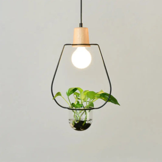 Contemporary Clear Glass Planter Lamp - 1-Light Pendant for Study Room Lighting