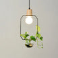 Contemporary Clear Glass Planter Lamp - 1-Light Pendant for Study Room Lighting