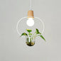 Contemporary Clear Glass Planter Lamp - 1-Light Pendant for Study Room Lighting