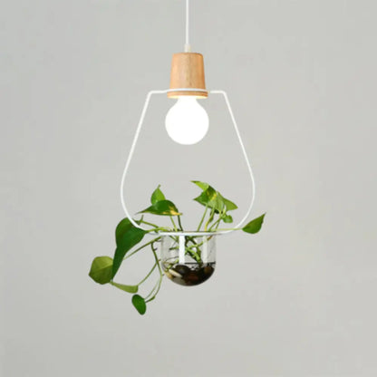 Contemporary Clear Glass Planter Lamp - 1-Light Pendant for Study Room Lighting