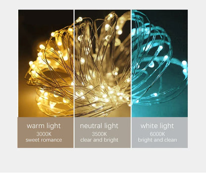 Contemporary LED Glass Chandelier for Home Lighting - Chandelier