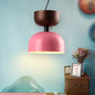 Contemporary Metal Pendant Light in Pink/Green- Single Head Domed Design