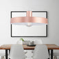 Contemporary Pink Circle Down Lighting Pendant Light for Living Room