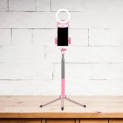 Contemporary pink phone holder with led ring light and inch fixture designed for bedroom use