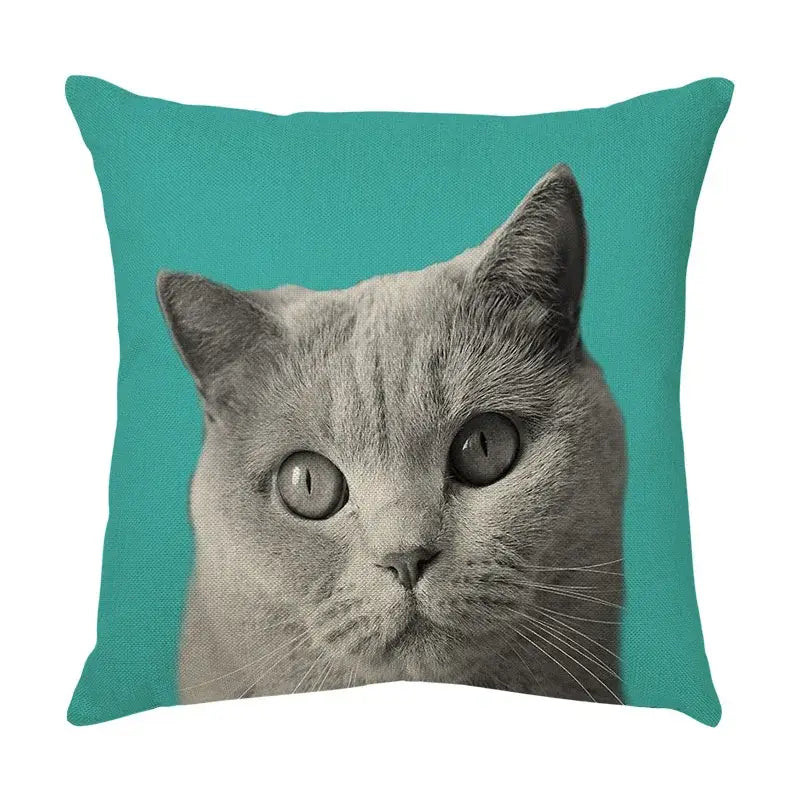 Teal throw pillow with a black-and-white british shorthair cat face decorative print for living room use