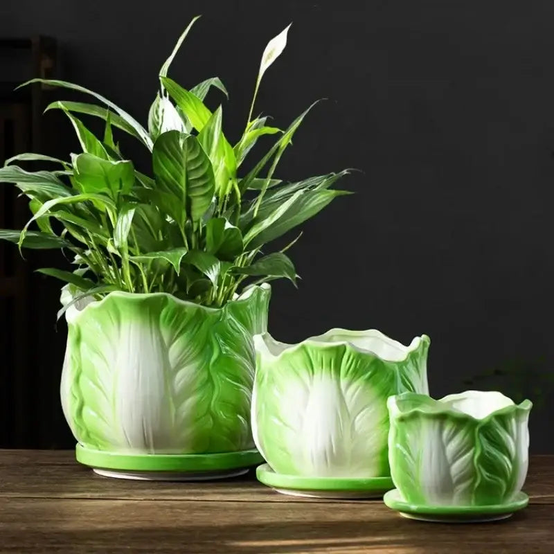 Set of three green and white ceramic cabbage flowerpot planters in varying sizes for indoor garden decorbites cabbage flowerpot