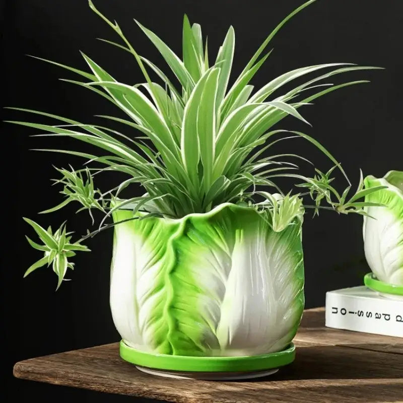 Creative green and white ceramic cabbage flowerpot by decorbites with spider plant for indoor garden decor