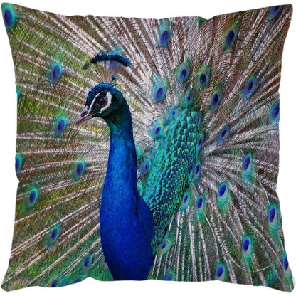Peacock feather throw pillow cover with vibrant blue and green feathers, white background.