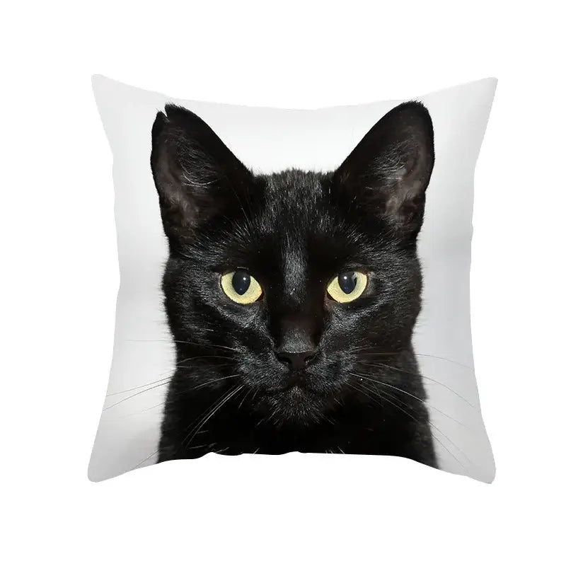 White throw pillow with striking close-up print of black cat with vivid yellow eyes for decorbites black cat pillowcases