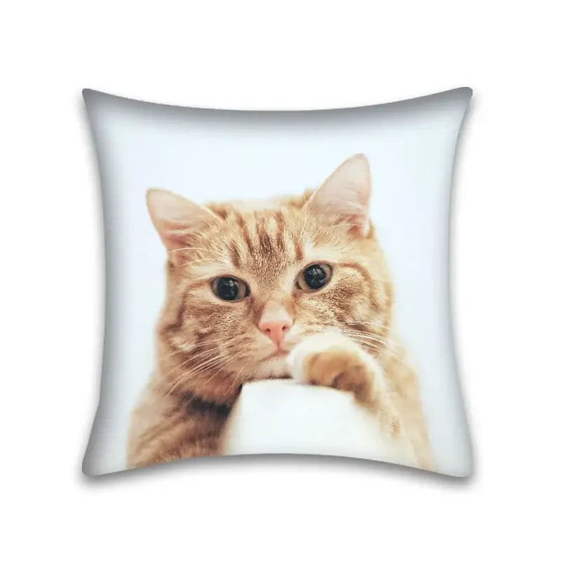 Square cushion pillow case featuring a cute cat anime orange tabby with dark eyes for bedroom and living room use