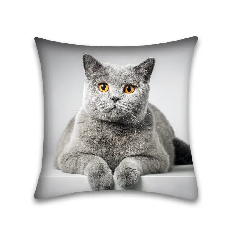 Gray British Shorthair cat with golden eyes printed on a cute cat anime pillow case square cushion for bedroom use