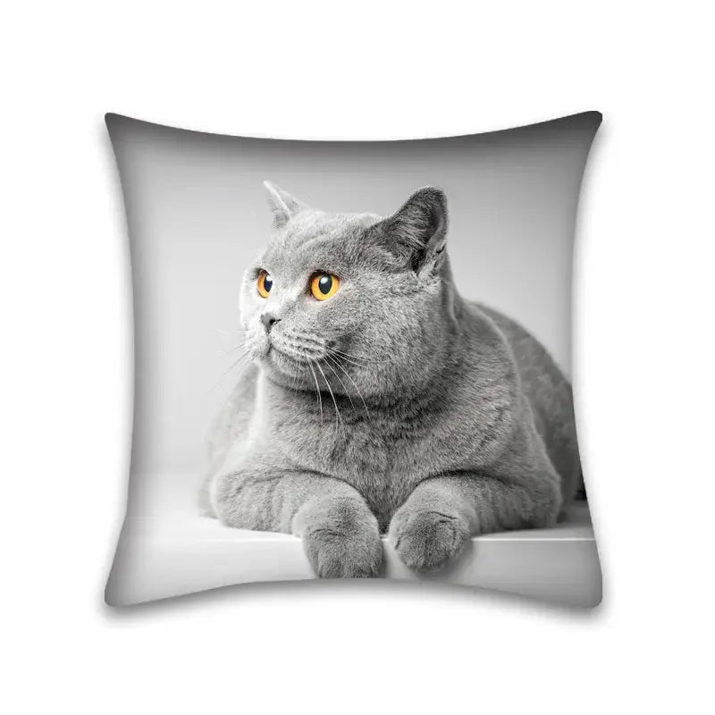 Gray british shorthair cat with golden eyes printed on a cute cat anime pillow case for bedroom and living room use