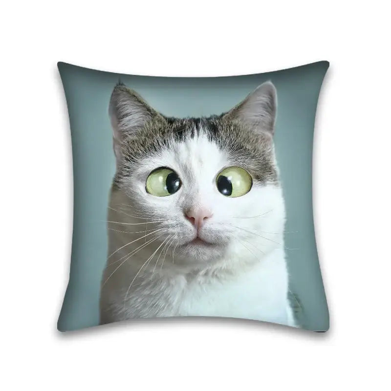 Square cushion pillow case featuring a cute cat anime design of a white and gray tabby with green eyes on teal background