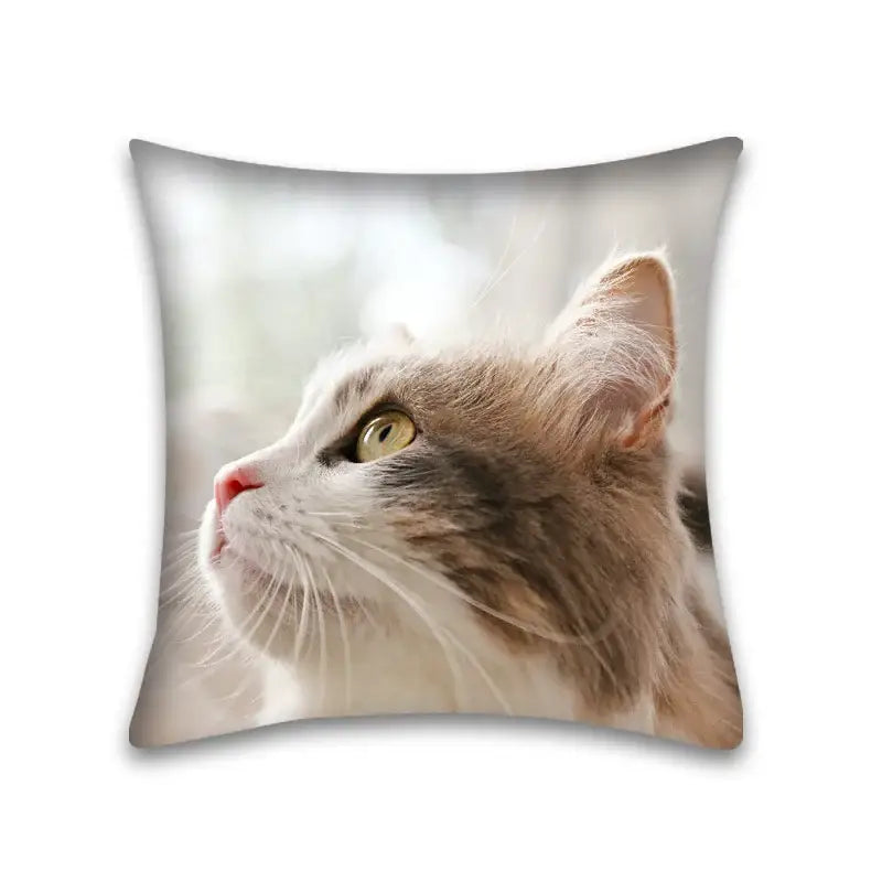 Square cushion pillow case with cute cat anime print of fluffy white gray and brown cat for bedroom and living room