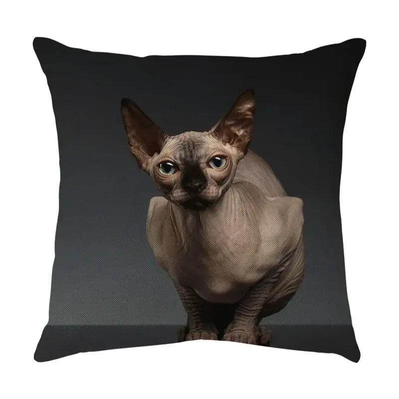 Black throw pillow with high-resolution sphynx cat print made of sofa cotton linen for cute cat sofa decor