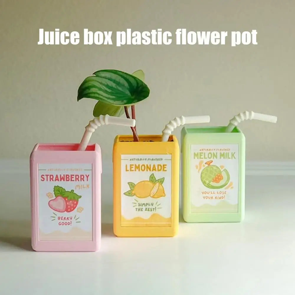 Cute Kawai Flower Pot for Succulents & Cacti