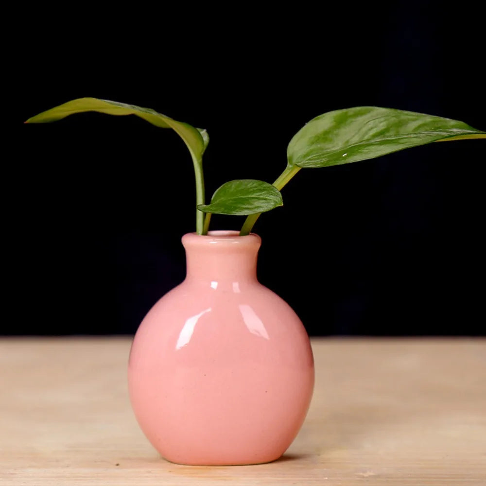 Cute Mini Ceramic Flower Vase Pot - pink - Vase