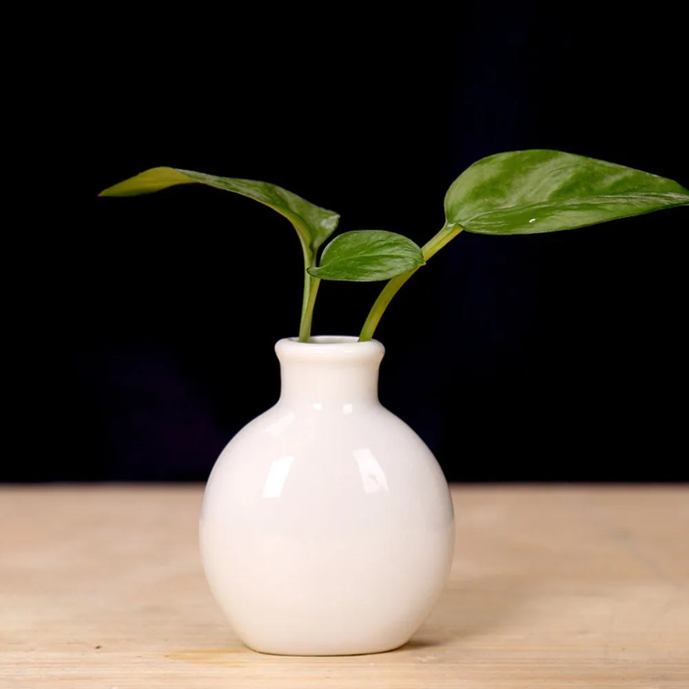 Cute Mini Ceramic Flower Vase Pot - white - Vase