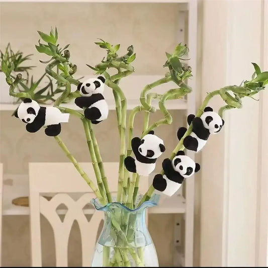 Cute panda plush black and white figurines clinging to green bamboo stalks in a clear vase for decorbites cute panda decor