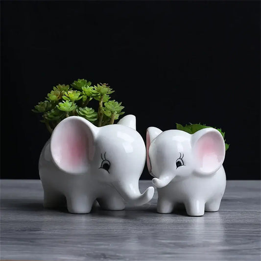 Cute white ceramic elephant succulent planter with pink ears and black eyelashes holding small green succulent