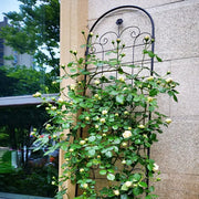 Elegant Metal Garden Trellis