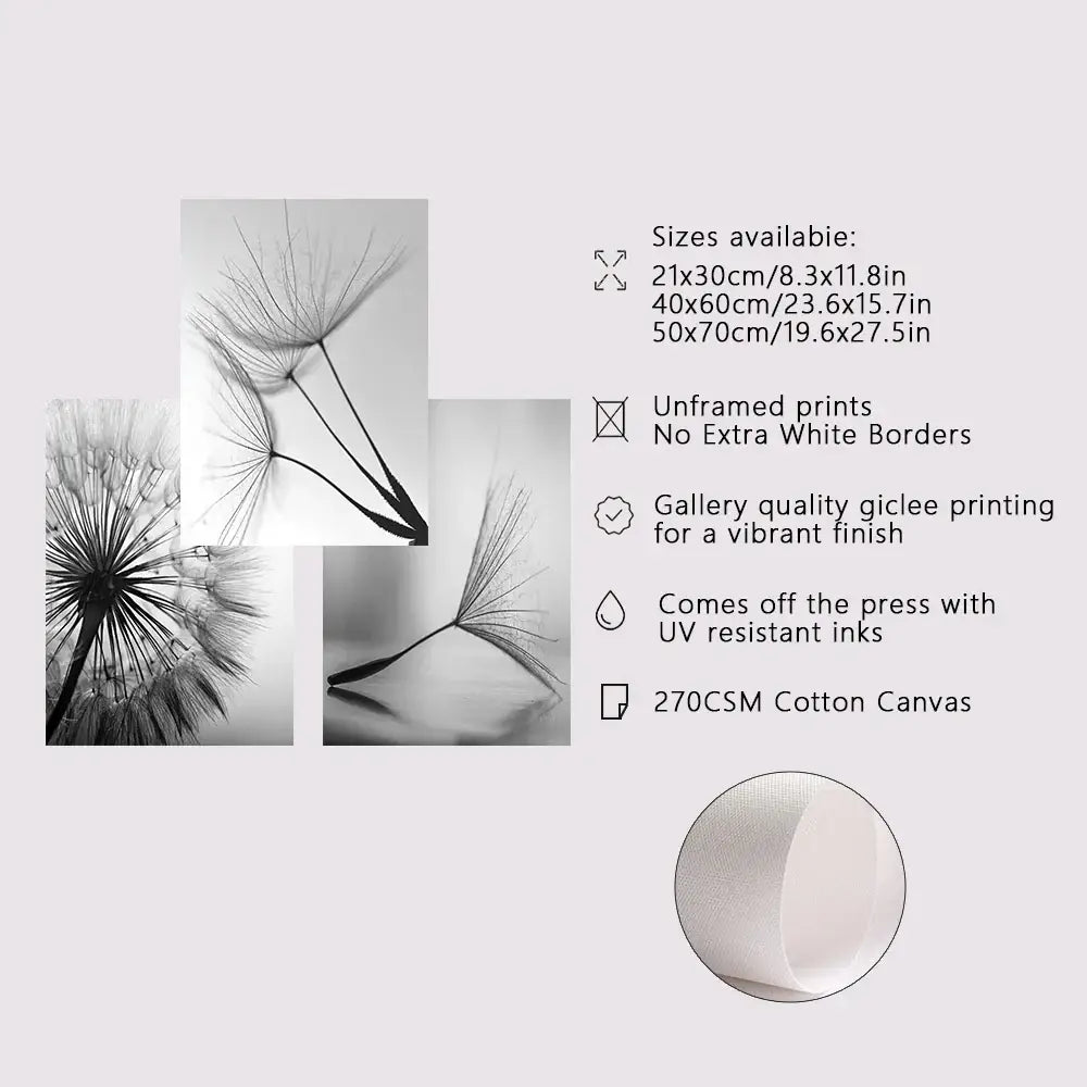 Decorbites black and white dandelion canvas wall art featuring dandelion flower pictures on 270csm cotton canvas