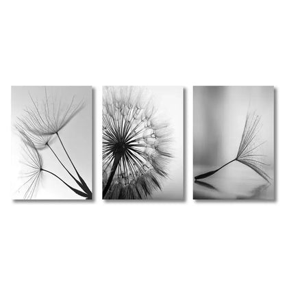 Set of three black and white dandelion flower pictures on white dandelion canvas wall art by DecorBites™