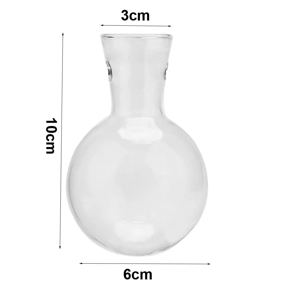 Clear glass vase with rounded bulbous base slender neck and two handles for decoration or tabletop planter use
