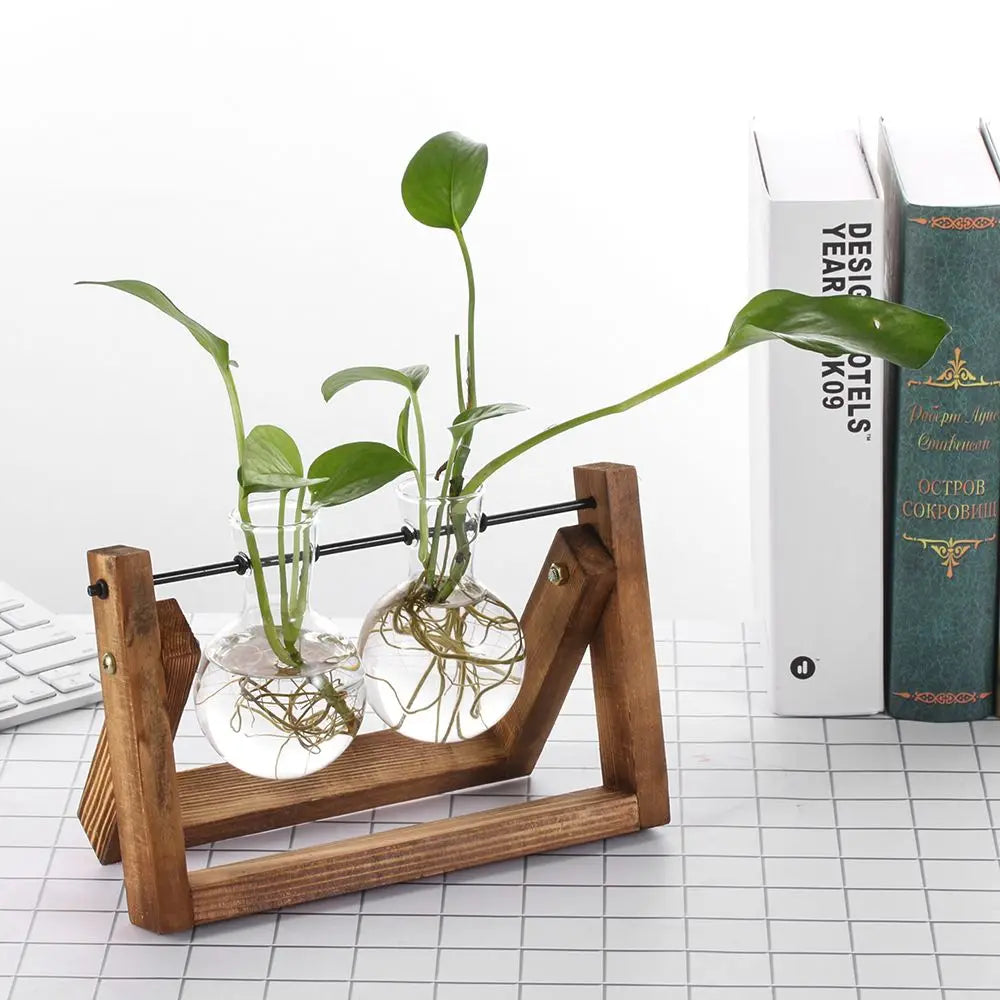 Wooden stand holding two clear glass vials with green plants and roots for hydroponic tabletop decoration