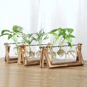 Set of five clear glass spherical terrarium vases with roots on rustic wooden a-frame stands for hydroponic plants