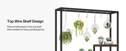 Black metal wire 5-tier tall plant stand with hanging hooks displaying glass terrariums and potted succulents