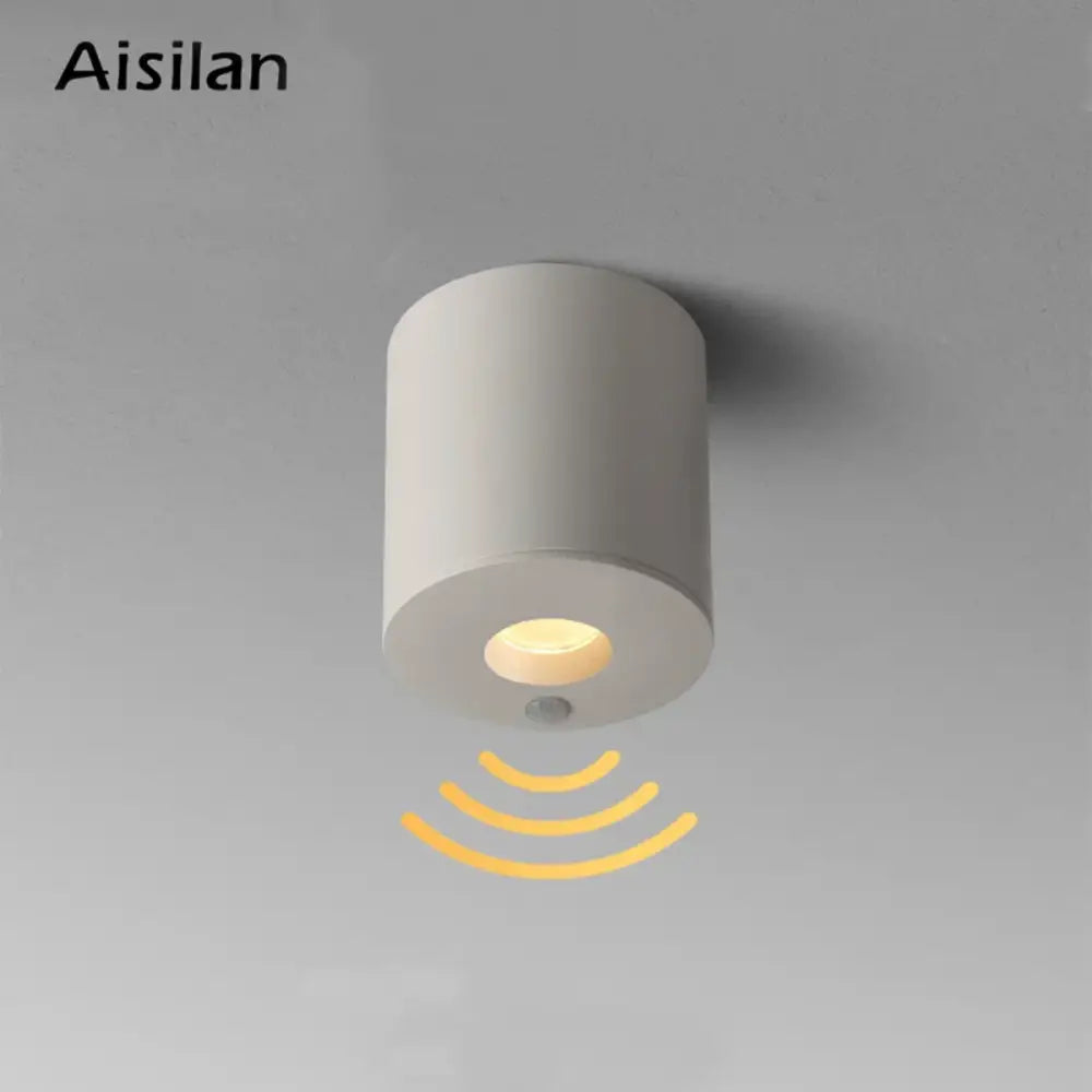 Aisilan white cylindrical ceiling-mounted led sensor downlight with warm glow and human body detection