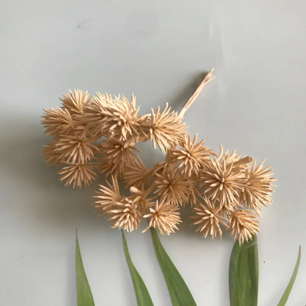 A cluster of light beige dried flowers from decorbites™ 6pcs dried flower mix for jewelry making and candle crafts