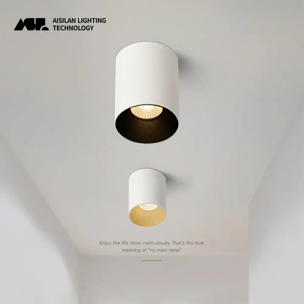 Decorbites 7w matte aluminum ceiling downlight with white cylindrical body black interior and warm led bulb for corridor